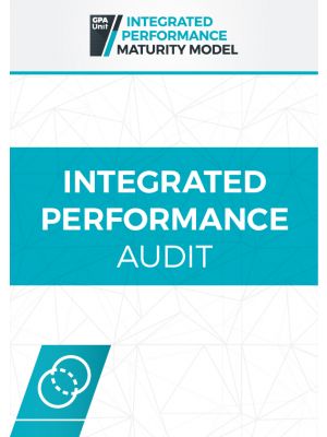 Integrated Performance Audit