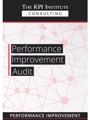 Performance Improvement Audit