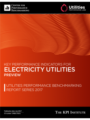 Key Performance Indicators for Electricity Utilities - Preview